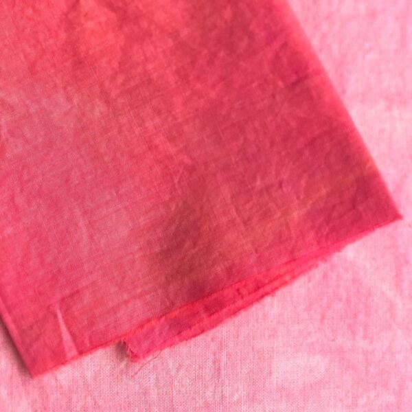 Carthame - 300g Carthame - 300g