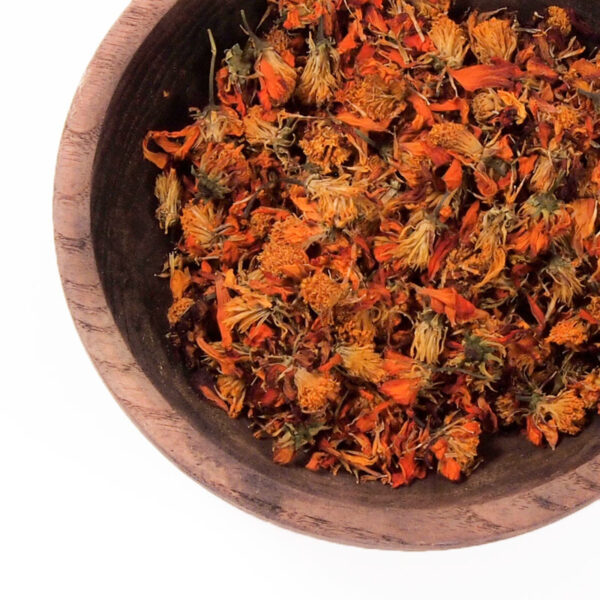 Cosmos sulfureux Cosmos sulfureux