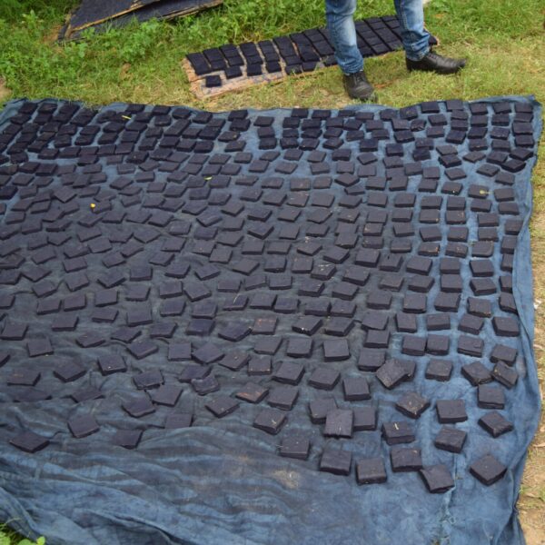 Indigo indien Indigo indien