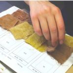 Projet textile et couleurs végétales