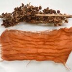 Projet textile et couleurs végétales