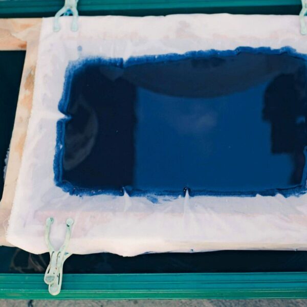 Formation Indigo extraction et utilisation - 3 jours Formation Indigo extraction et utilisation - 3 jours