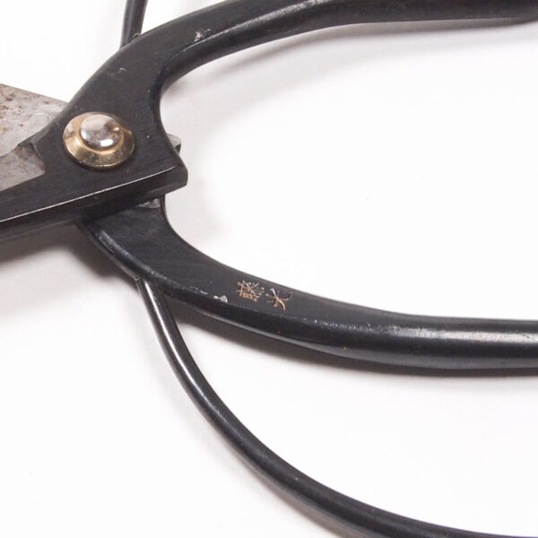 Ciseaux cueillette Ciseaux cueillette