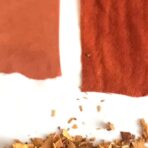 Formager ou Morinda - 100g