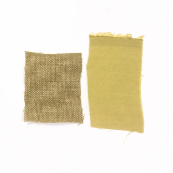 Baies de Nerprun Baies de Nerprun