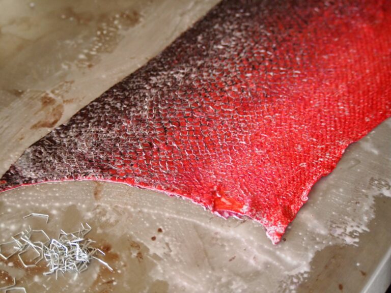 article Stage cuire poisson